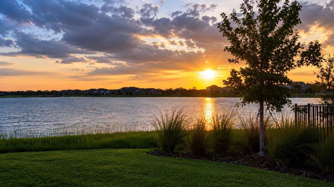 Natural landscape and outdoor views near Laureate Park in Orlando (Image 53).