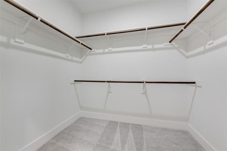 Spacious closet featuring carpet flooring Spacious closet featuring carpet flooring