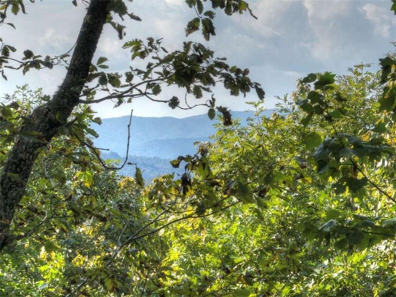 Natural landscape and outdoor views near  in Blue Ridge (Image 30).
