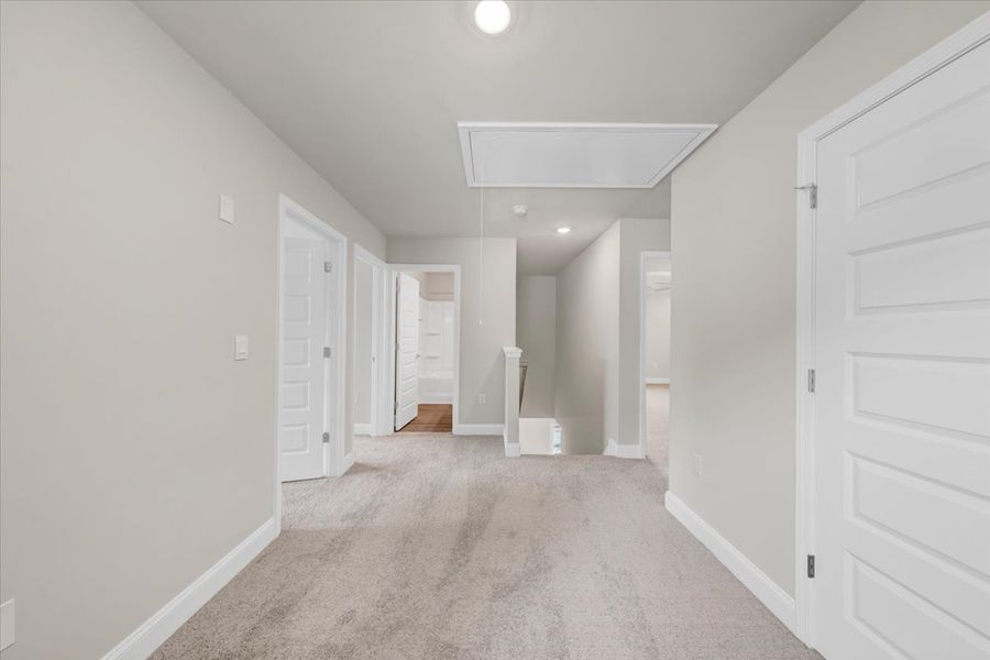 Spacious, unfurnished interior of a new home in Scarlett Place, Bowdon (Image 26).