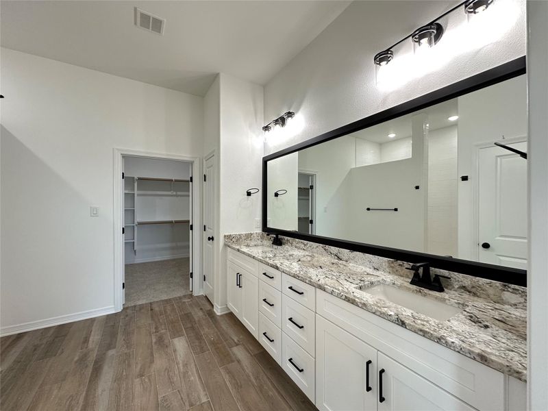 Bathroom featuring dark wood-type flooring, double vanity, and a spacious closet