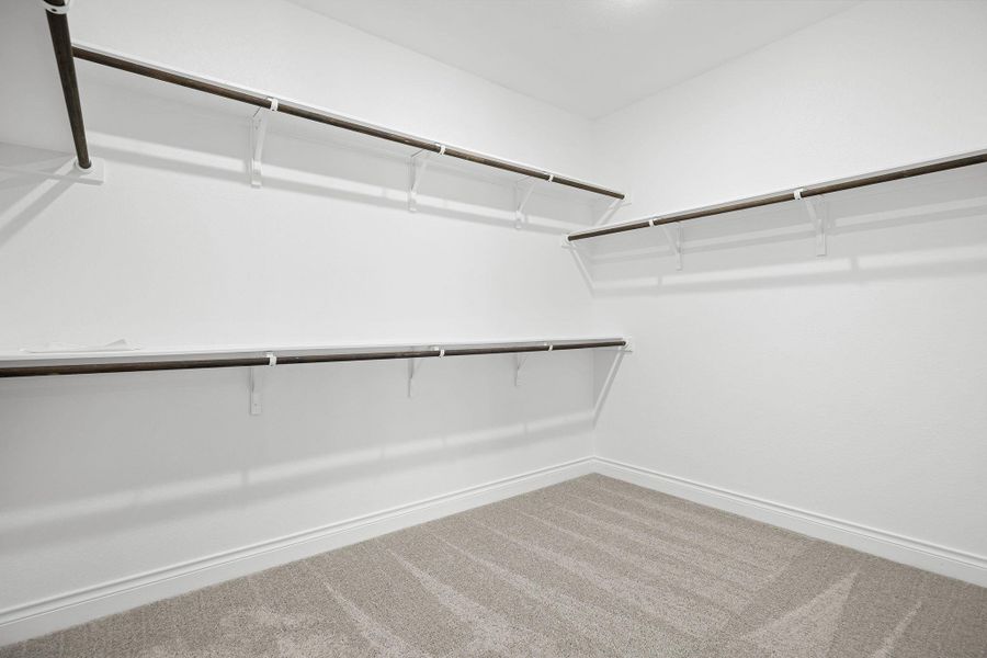 Walk in closet featuring carpet floors
