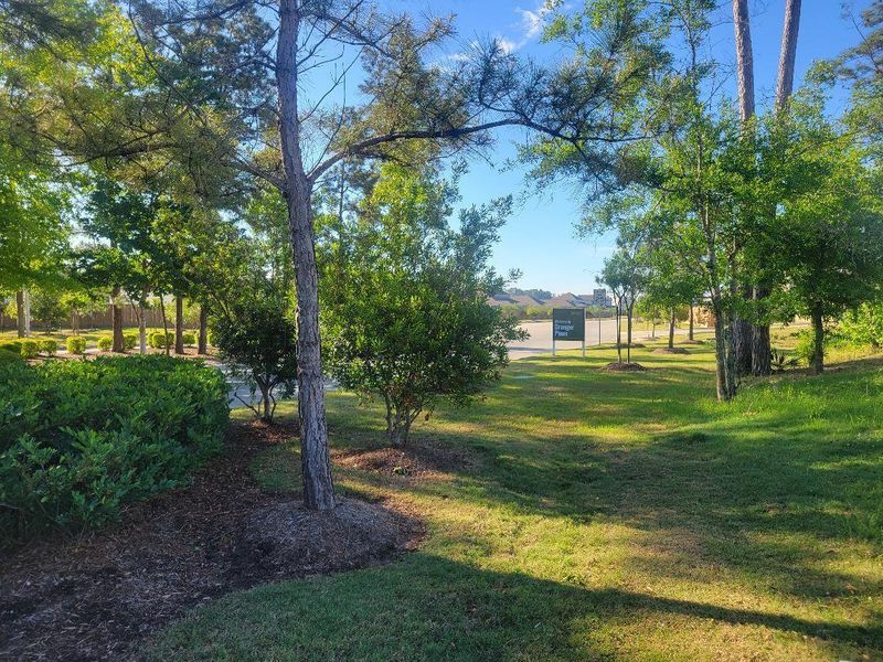 Natural landscape and outdoor views near Granger Pines in Conroe (Image 33).