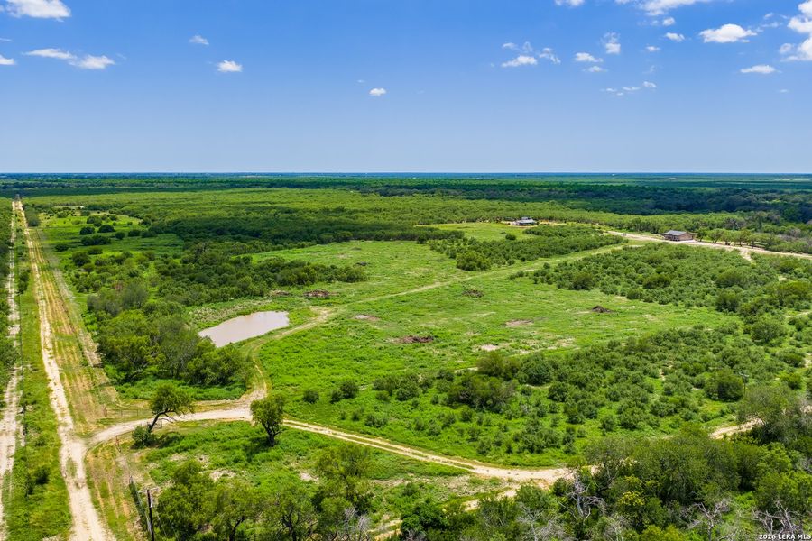 Natural landscape and outdoor views near  in Crystal City (Image 43).