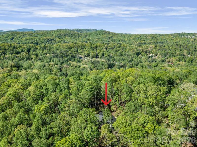 Natural landscape and outdoor views near  in Hendersonville (Image 31).