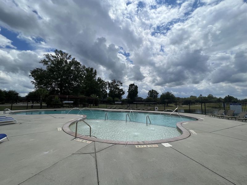 Beach Forest Pool Beach Forest Pool