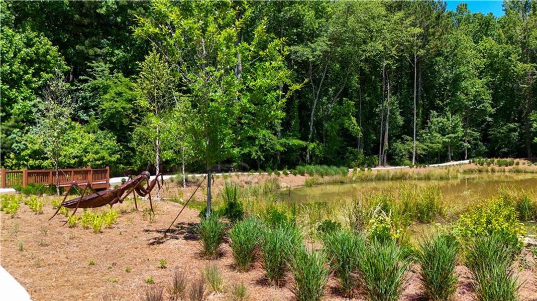 Natural landscape and outdoor views near Ecco Park in Alpharetta (Image 37). Natural landscape and outdoor views near Ecco Park in Alpharetta (Image 37).