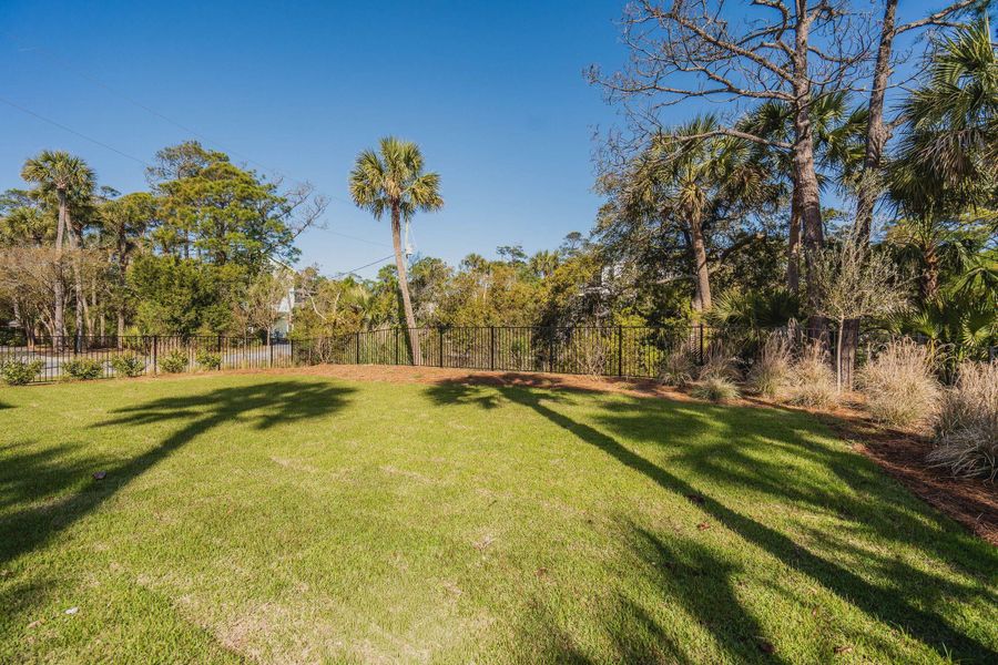 Natural landscape and outdoor views near  in Folly Beach (Image 108).