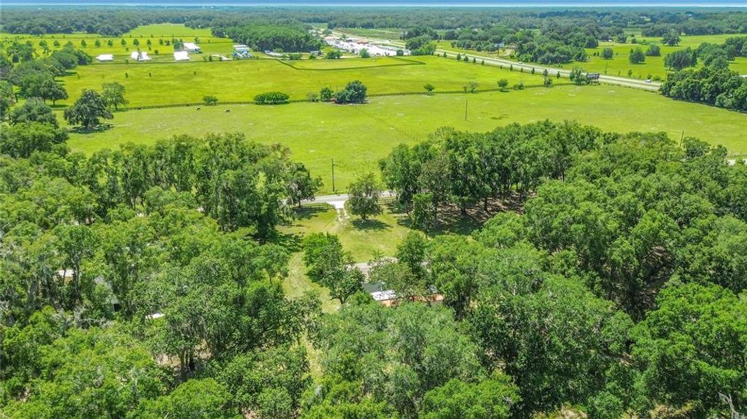 Natural landscape and outdoor views near  in Summerfield (Image 44).