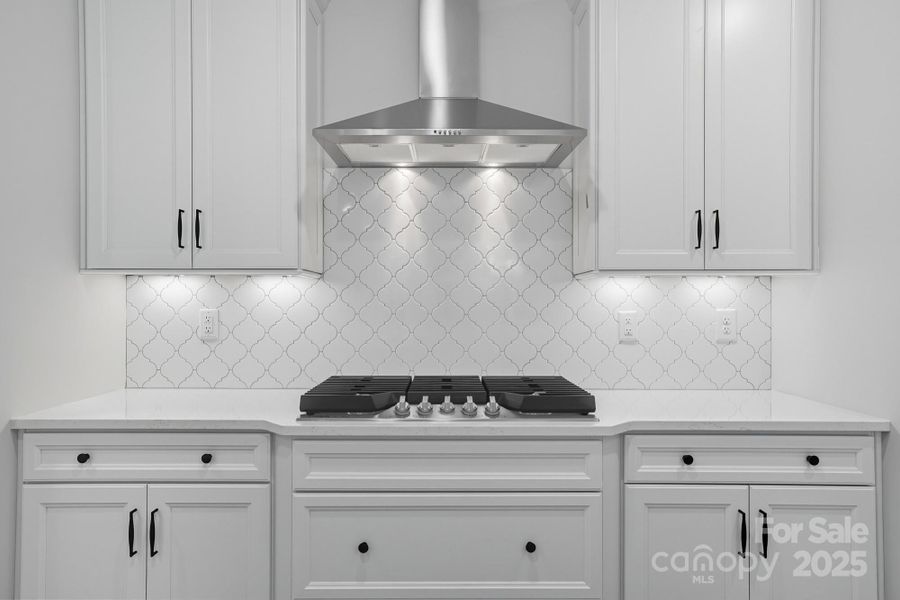 Close-up of interior finishes inside a home in Heritage - 55+ Community, Wesley Chapel (Image 12).