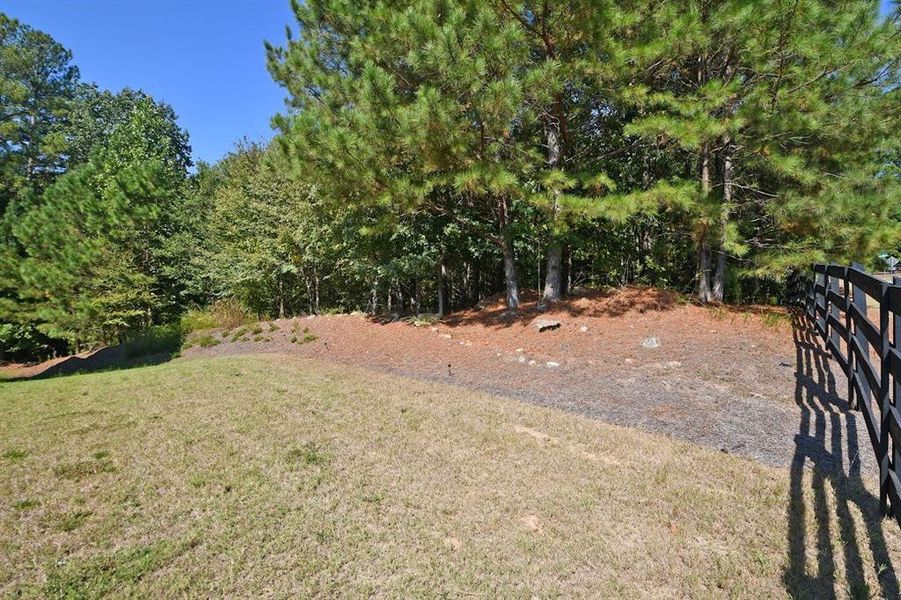 Natural landscape and outdoor views near  in Dallas (Image 70).