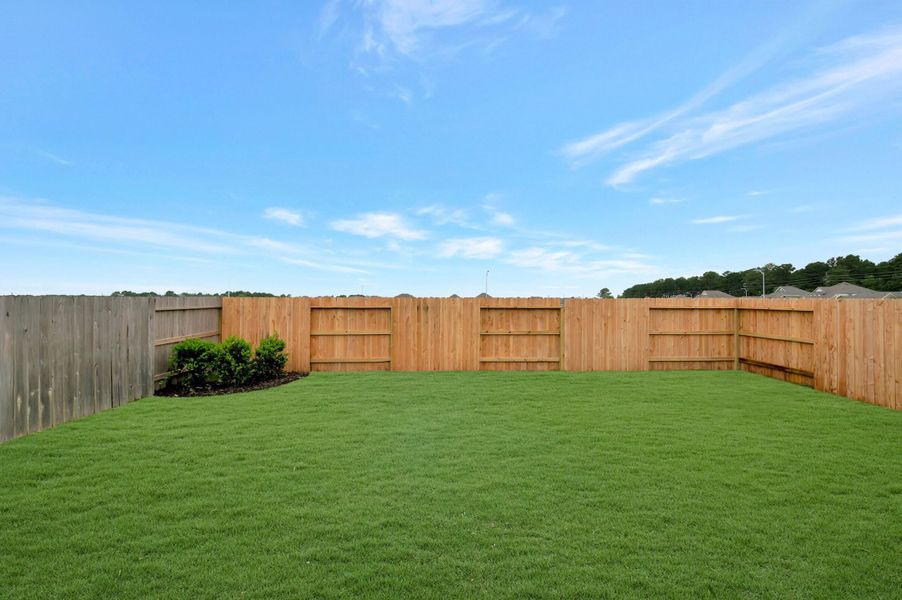 Backyard