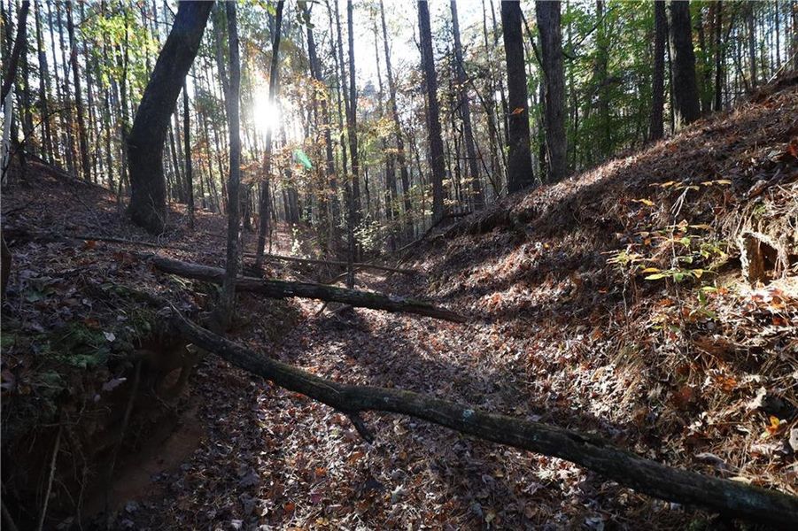 Natural landscape and outdoor views near  in Elberton (Image 15).
