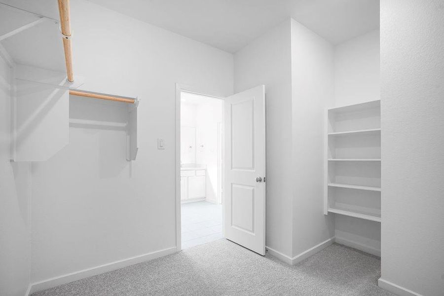 21942 Carinda Crescent ~ Ready Now