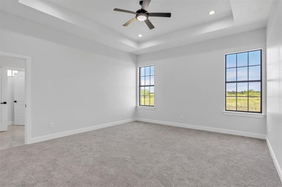 Carpeted spare room featuring a healthy amount of sunlight, ceiling fan, and a tray ceiling