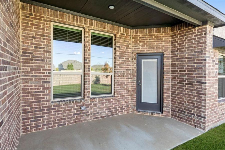 25. 141 Whistling Duck - Patio