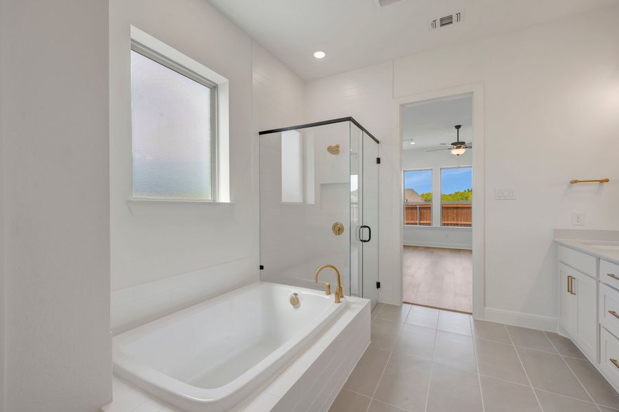 Owner's Bath