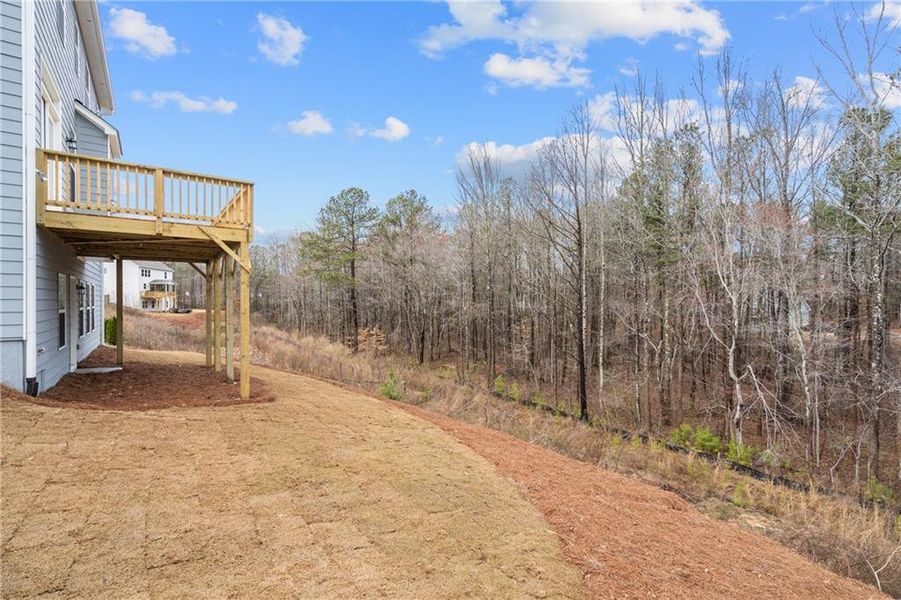 Front exterior of a new home in Riverwood, Dallas, GA, highlighting curb appeal (Image 40). Front exterior of a new home in Riverwood, Dallas, GA, highlighting curb appeal (Image 40).