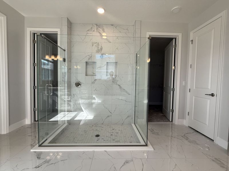 Tradewinds Representational Tradewinds Representational