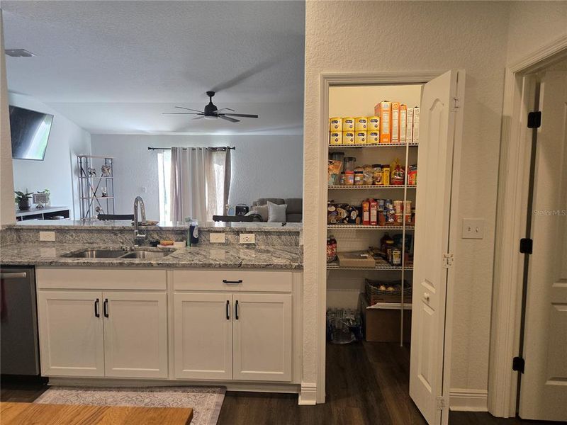Kitchen has LARGE pantry