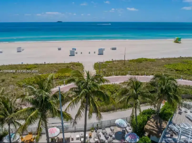 Direct oceanfront exposure featuring expansive sandy beach access, mature palm trees, lush dune landscaping, and a paved pedestrian pathway Direct oceanfront exposure featuring expansive sandy beach access, mature palm trees, lush dune landscaping, and a paved pedestrian pathway