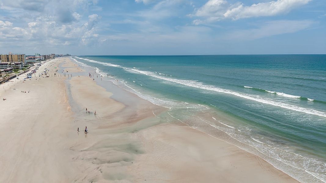 Natural landscape and outdoor views near Ardisia Park in New Smyrna Beach (Image 20).