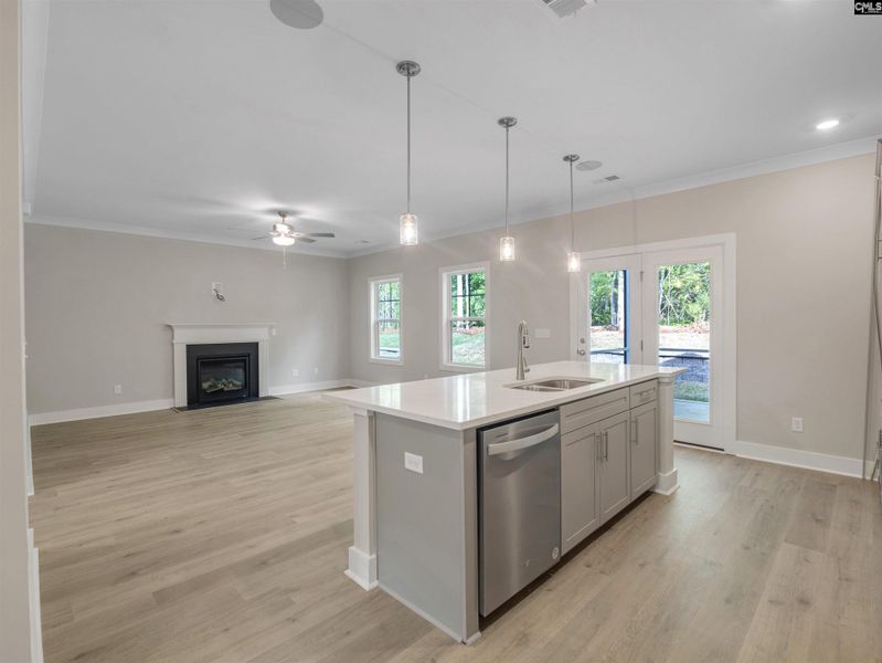 Furnished interior view inside a new home in Collins Cove, Chapin (Image 8). Furnished interior view inside a new home in Collins Cove, Chapin (Image 8).