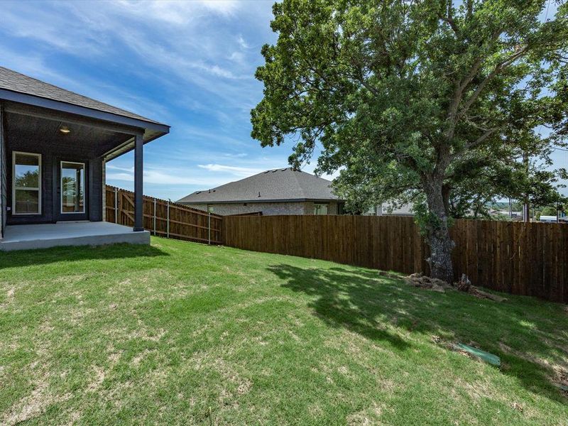 Expansive backyard featuring a large tree providing natural shade Expansive backyard featuring a large tree providing natural shade
