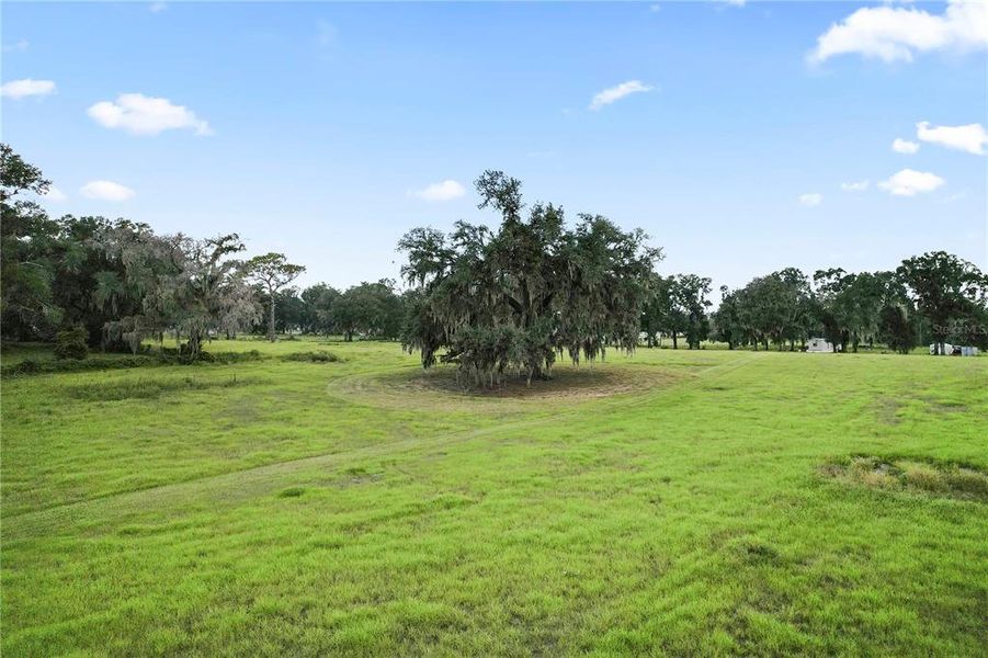 Natural landscape and outdoor views near in Dade City (Image 4). Natural landscape and outdoor views near in Dade City (Image 4).