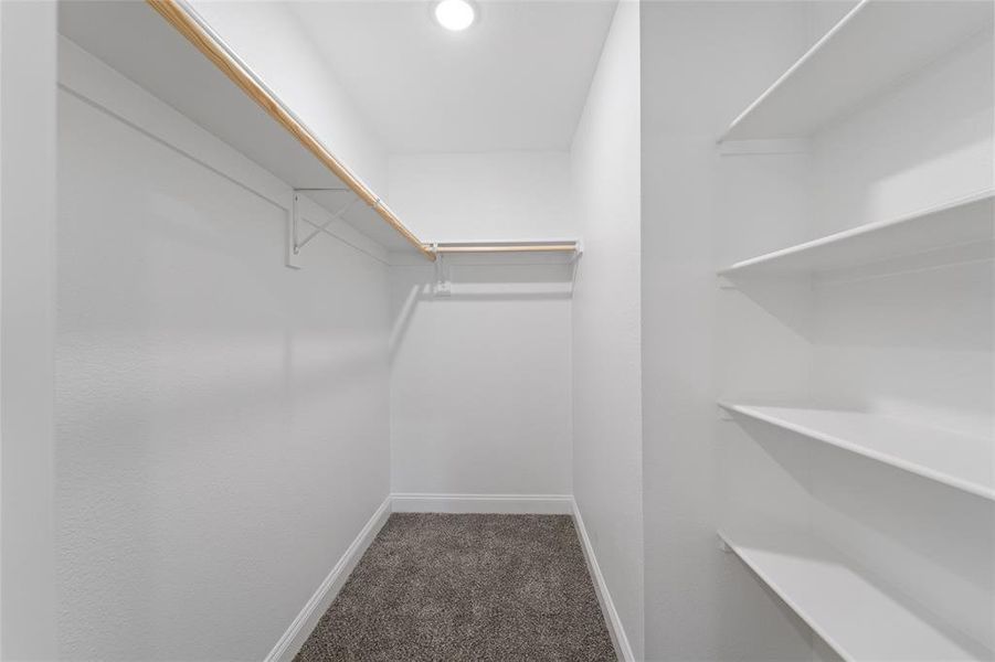 Owners closet with carpet floors