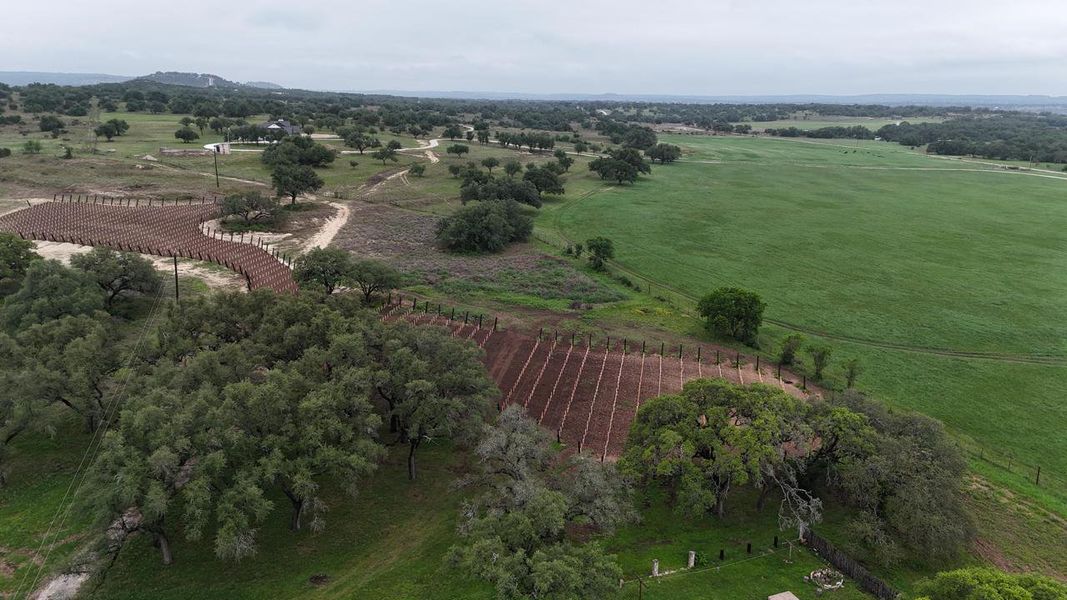Expansive agricultural land featuring newly tilled rows and established vineyard plantings