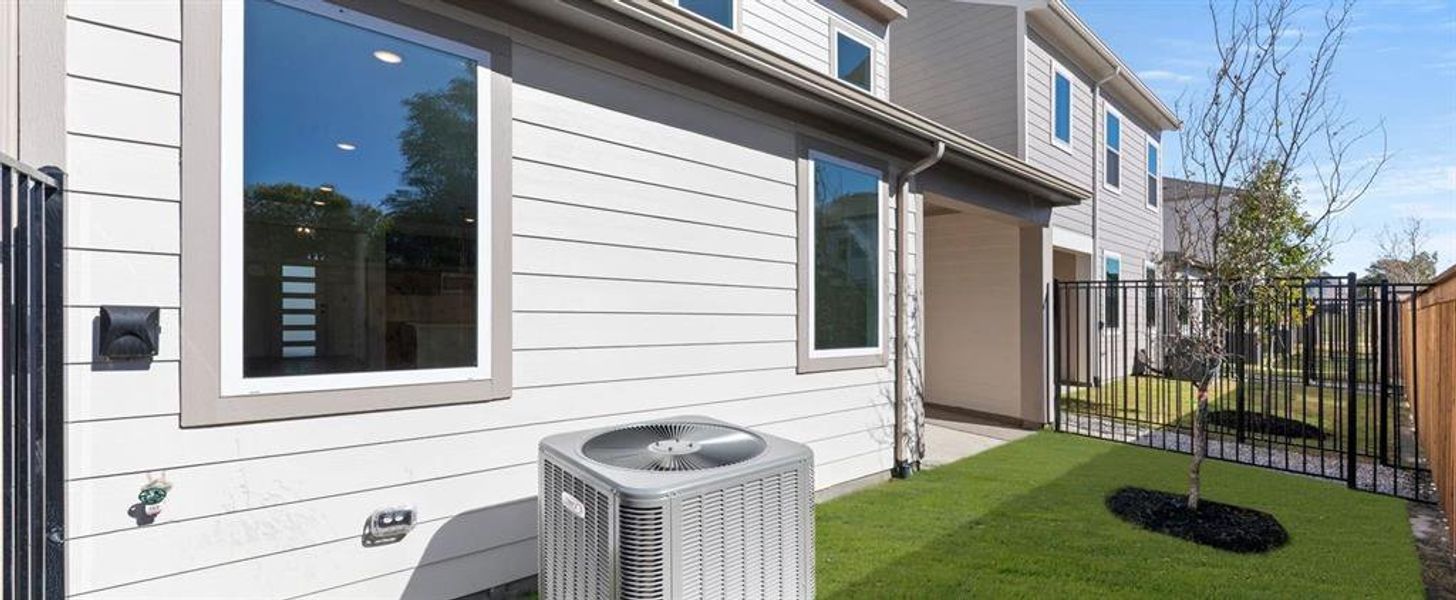 Small Fenced Yard Small Fenced Yard