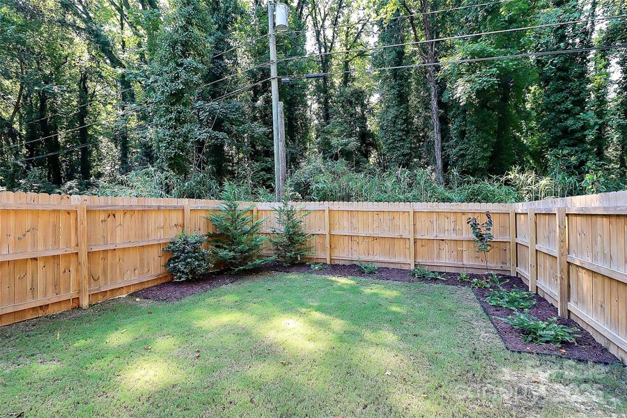 Fenced Back Yard