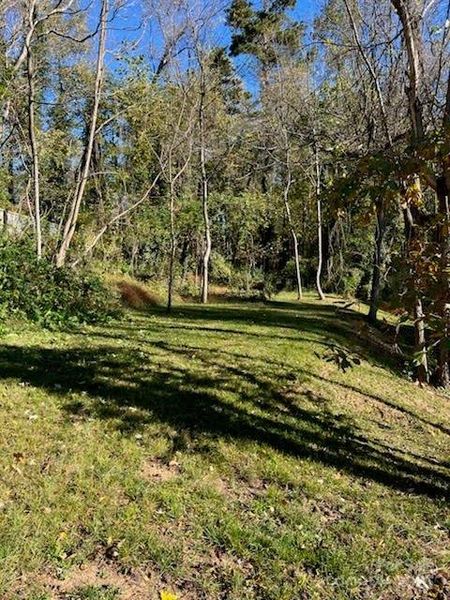Natural landscape and outdoor views near in Candler (Image 36). Natural landscape and outdoor views near in Candler (Image 36).