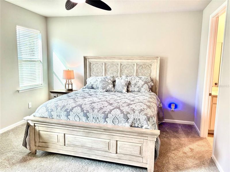 Furnished interior view inside a new home in , Venice (Image 12).