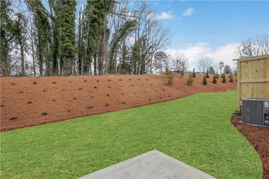 Exterior details and patio area of a home in , Dawsonville (Image 3).