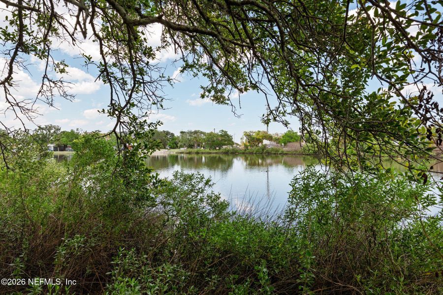 Natural landscape and outdoor views near  in St. Augustine (Image 14).