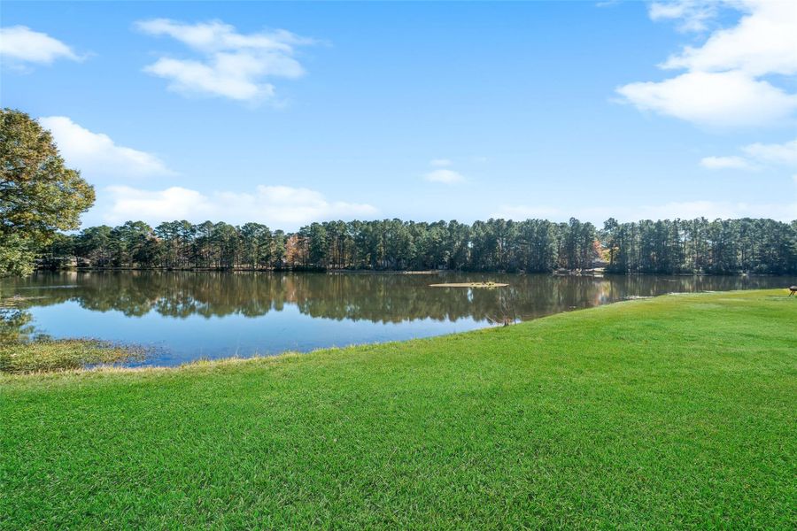 Natural landscape and outdoor views near  in Trinity (Image 31).