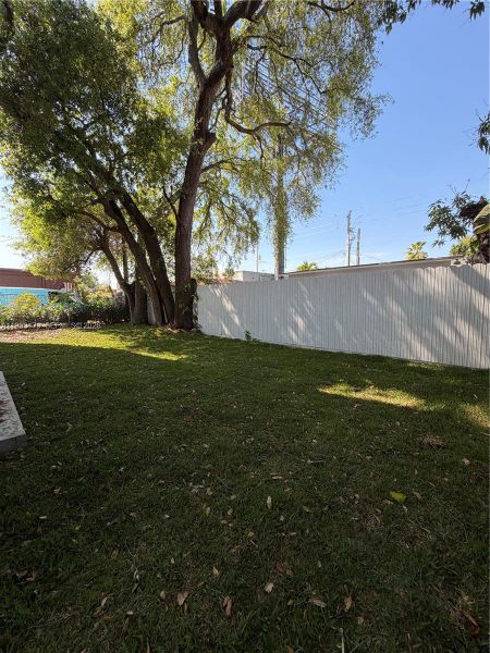 Natural landscape and outdoor views near  in Miami (Image 13).