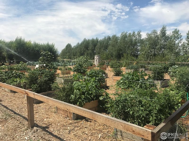 Natural landscape and outdoor views near  in Loveland (Image 29).