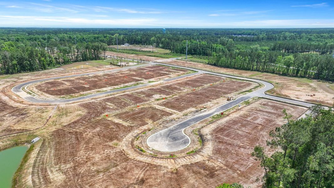 Site preparation for new homesites in Pineview North, Summerville (Image 28).