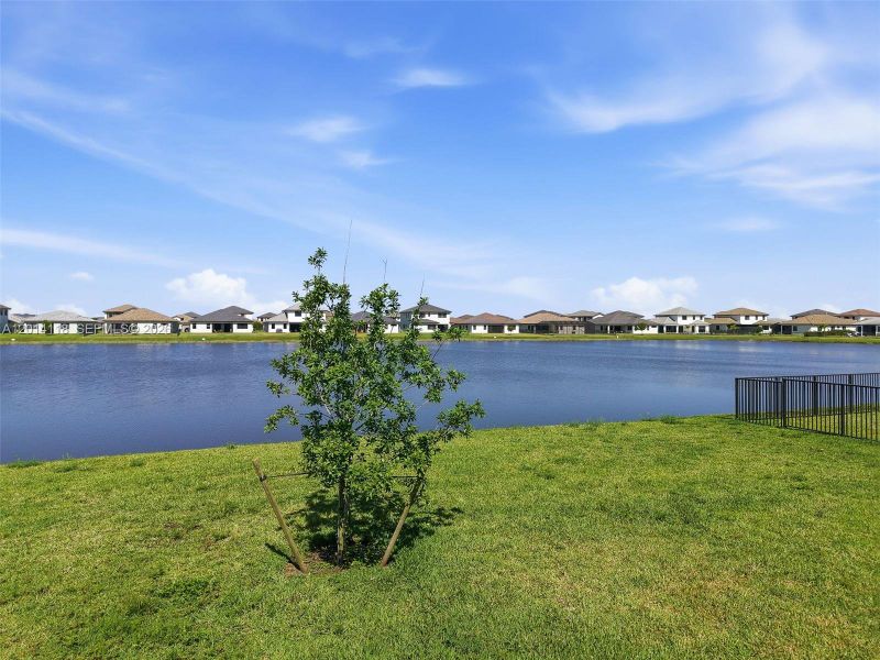 Natural landscape and outdoor views near in Immokalee (Image 38). Natural landscape and outdoor views near in Immokalee (Image 38).