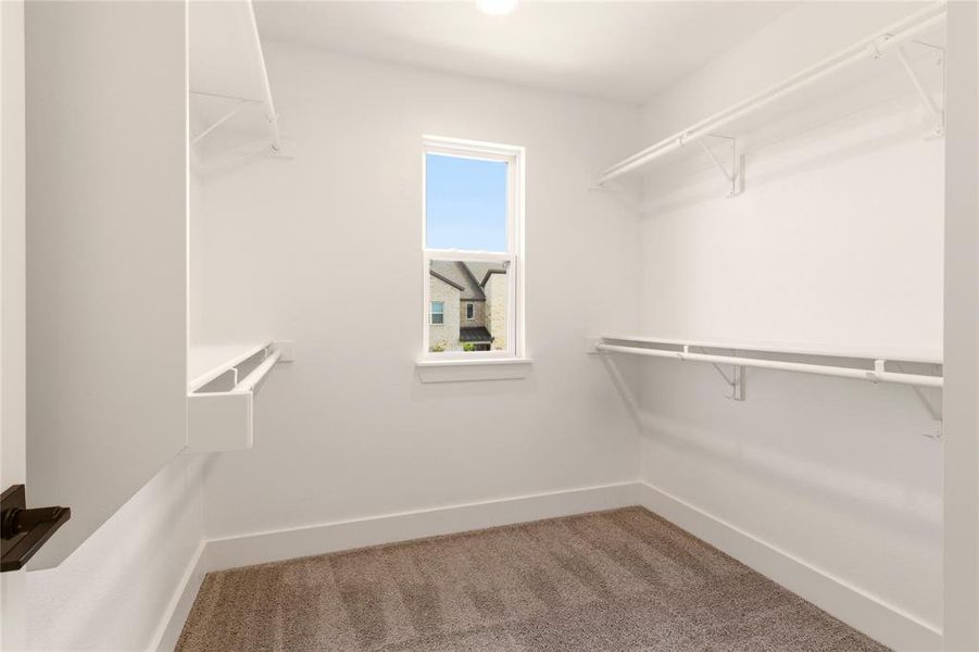 Walk in closet featuring carpet