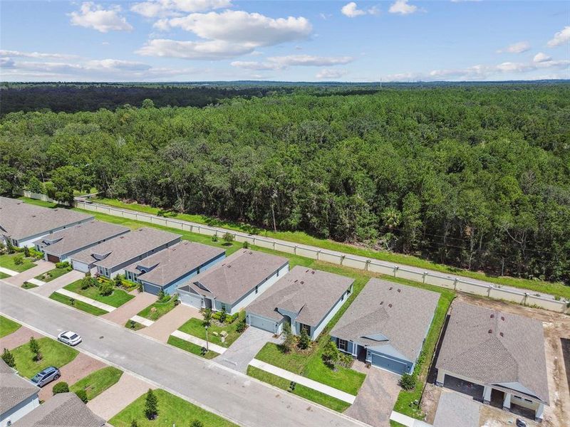 Image 61 of a home in Cascades at Southern Hills.