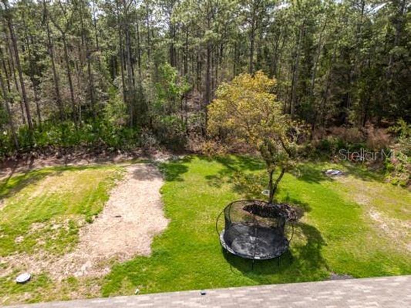 Natural landscape and outdoor views near in Bunnell (Image 21). Natural landscape and outdoor views near in Bunnell (Image 21).