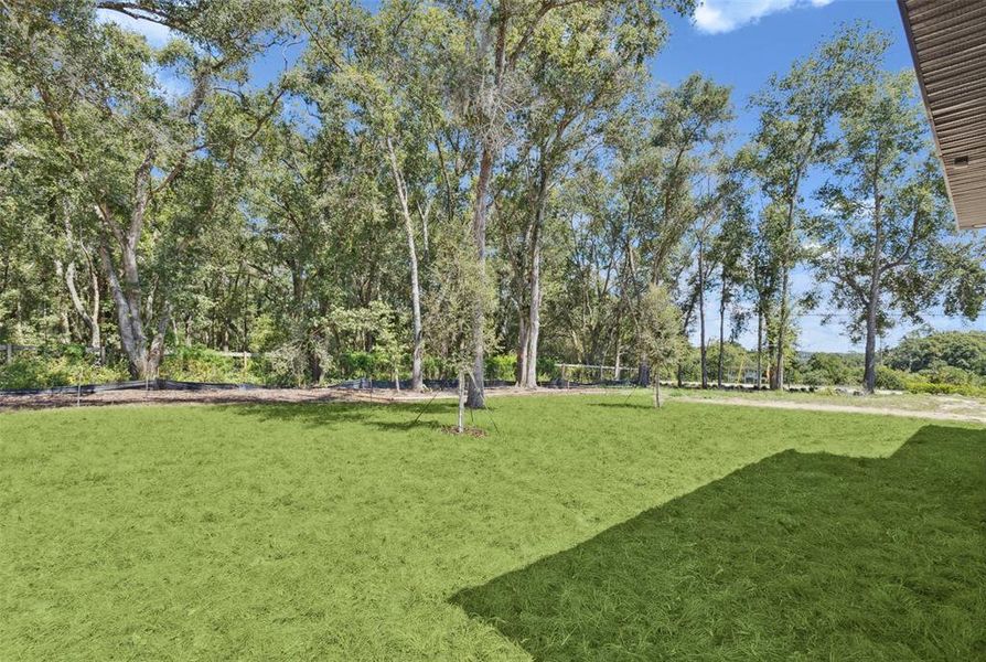 Natural landscape and outdoor views near Estes Reserve in Eustis (Image 16). Natural landscape and outdoor views near Estes Reserve in Eustis (Image 16).