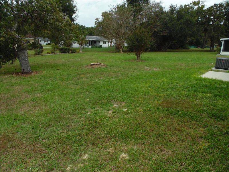 Natural landscape and outdoor views near  in Ocala (Image 21).