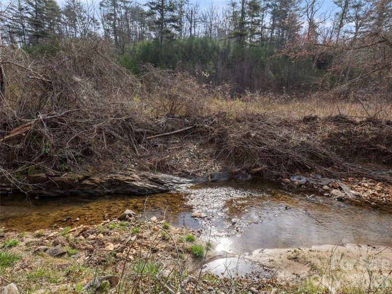 Natural landscape and outdoor views near  in Fairview (Image 21).
