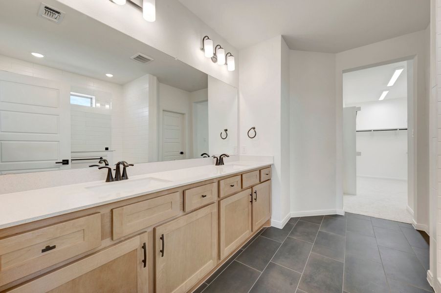 Owner's Bath