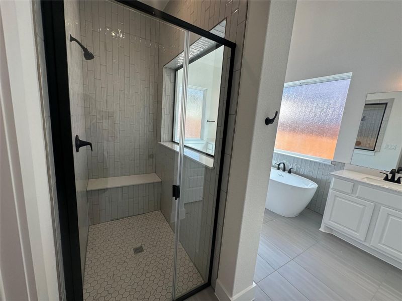 Walk-in shower in Primary Bath